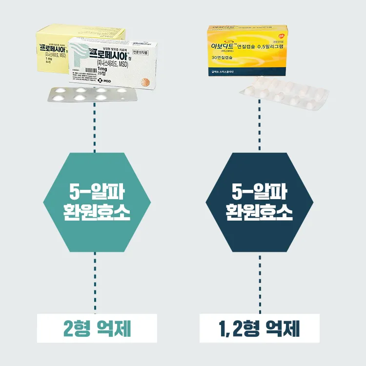 탈모약-5알파환원효소억제
